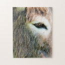 Recherche de donkey puzzles Pets