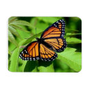 Recherche de papillons et mites magnets Animaux