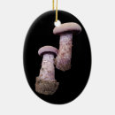 Suche nach essbarer ornamente Pilzjagd