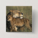 Recherche de gibier badges Kenya