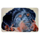 Recherche de portraits animaux magnets Mignon