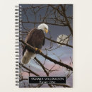 Recherche de rapace photographie Faune