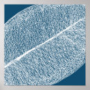 Suche nach ficus poster Illustration