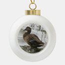 Suche nach ente ornamente See