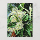 Recherche de marian cartes postales Pour tous