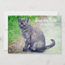Suche nach katze save the date Party