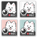 Recherche de spitz voiture autocollants Dog