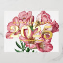 Recherche de freesia cartes postales Botanique