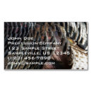 Recherche de dinde cartes visite Nature