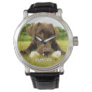 Recherche de chocolat montres Labrador