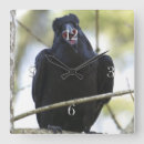 Suche nach rave wanduhren Crow