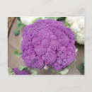 Recherche de choux cartes postales Légumes
