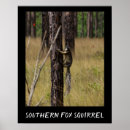 Suche nach florida druck poster Zuhause