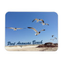 Suche nach möwe magnete Natur