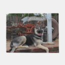 Suche nach german Tiere