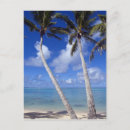 Recherche de plage palmier cartes postales Paysage