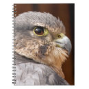 Recherche de faucons carnets Oiseaux