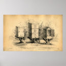 Suche nach bienenstock poster Antike