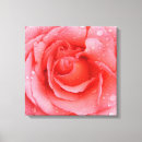 Suche nach tropfen kunst leinwandbilder Blume