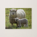 Recherche de agneau puzzles Animal