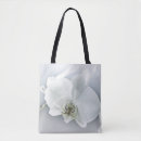 Suche nach orchideen taschen Phalaenopsis