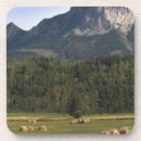 Suche nach canada untersetzer Kanadier