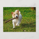Suche nach russel poster Tier