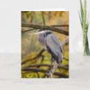 Suche nach herbstfarben karten Tierwelt