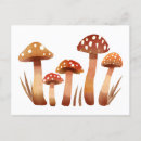 Recherche de champignons sauvages cartes postales Pour tous