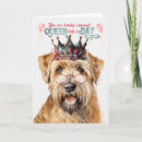 Suche nach wheatens karten Hunde