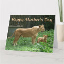 Suche nach momma karten Katze