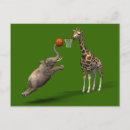 Recherche de terrain de basket cartes postales Pour tous