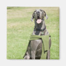 Suche nach deutsche doggen magnete Vertikal
