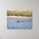 Suche nach wildlife leinwandbilder Wildtiere