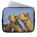 Suche nach ägypter laptop schutzhüllen Kairo