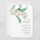 Recherche de orchidée blanche Fleurs