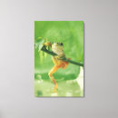 Suche nach grüner frosch leinwandbilder In voller länge