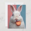Suche nach weißes kaninchen postkarten Hase