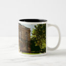 Recherche de néo tasses Architecture