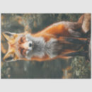 Recherche de renarde photographie Photographie de renard