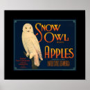 Suche nach schnee eulen poster Vintag