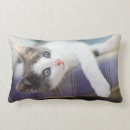 Recherche de chat doux coussins Animaux mignons