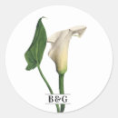 Recherche de calle autocollants Calla lily
