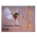 Suche nach küken kalender Vögel