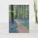 Suche nach belgier andere karten Bluebell blume