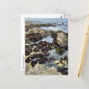 Suche nach monterey kalifornien postkarten Küste