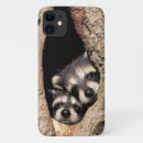 Suche nach der waschbär iphone hüllen Tiere