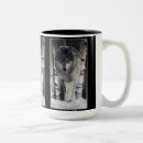 Recherche de wildlife tasses Loup de bois