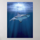 Suche nach kreuzfahrtschiff poster Ozean