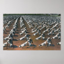 Suche nach us navy poster View